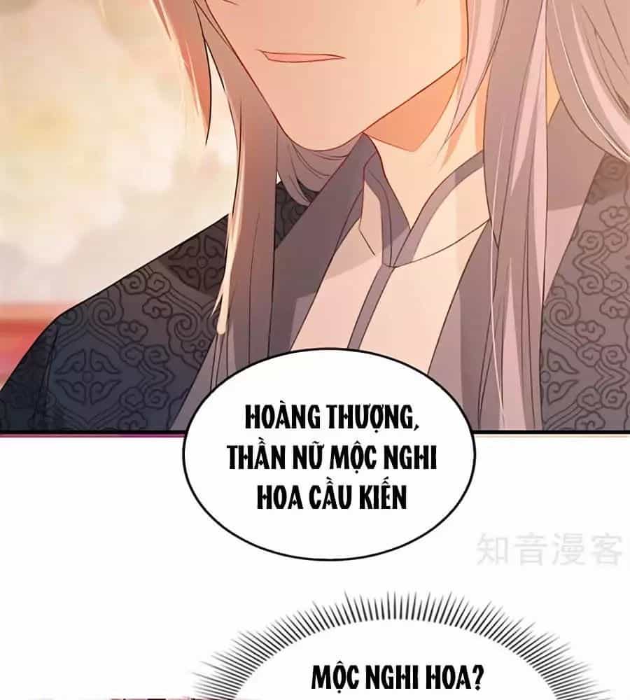 Gian Phi Như Thử Đa Kiều - Chương 43 - ảnh 5
