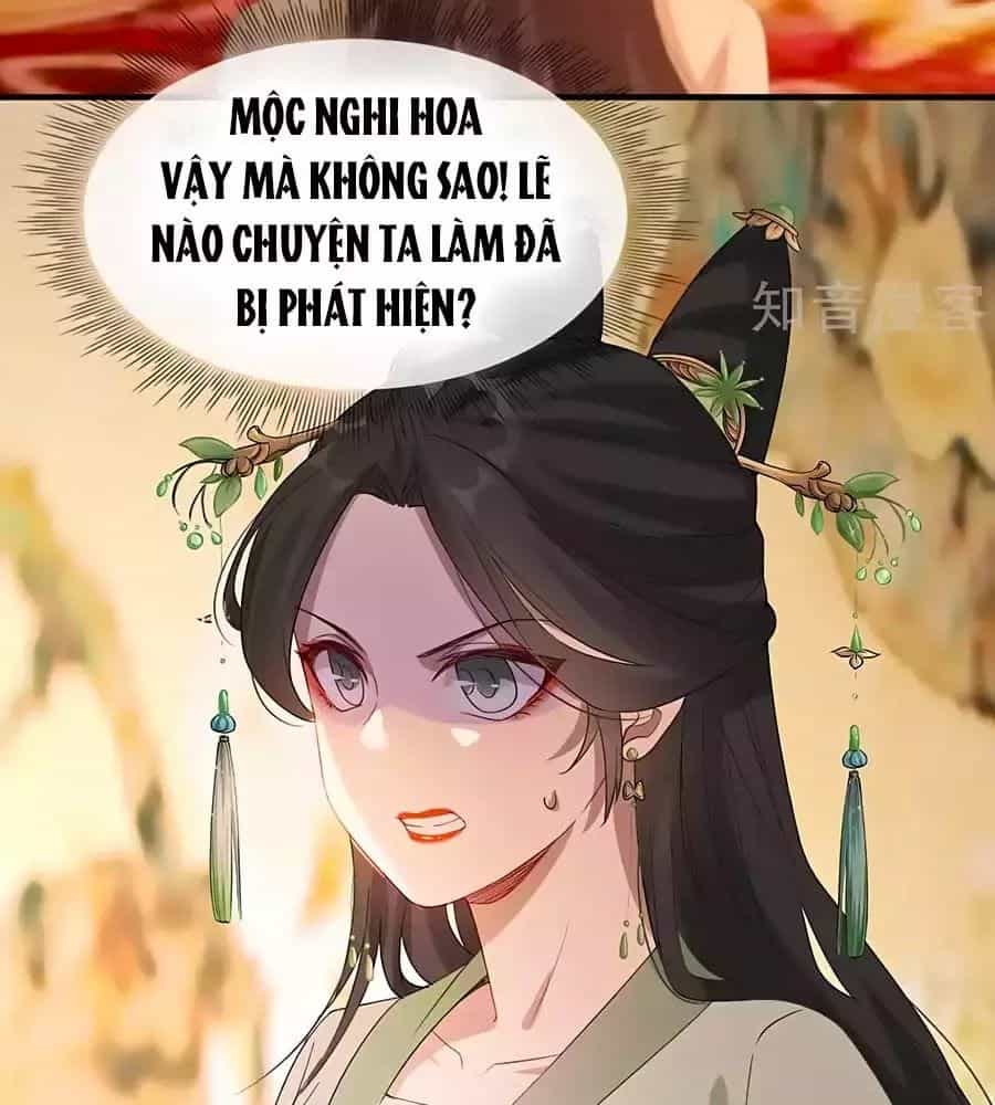 Gian Phi Như Thử Đa Kiều - Chương 49 - ảnh 6