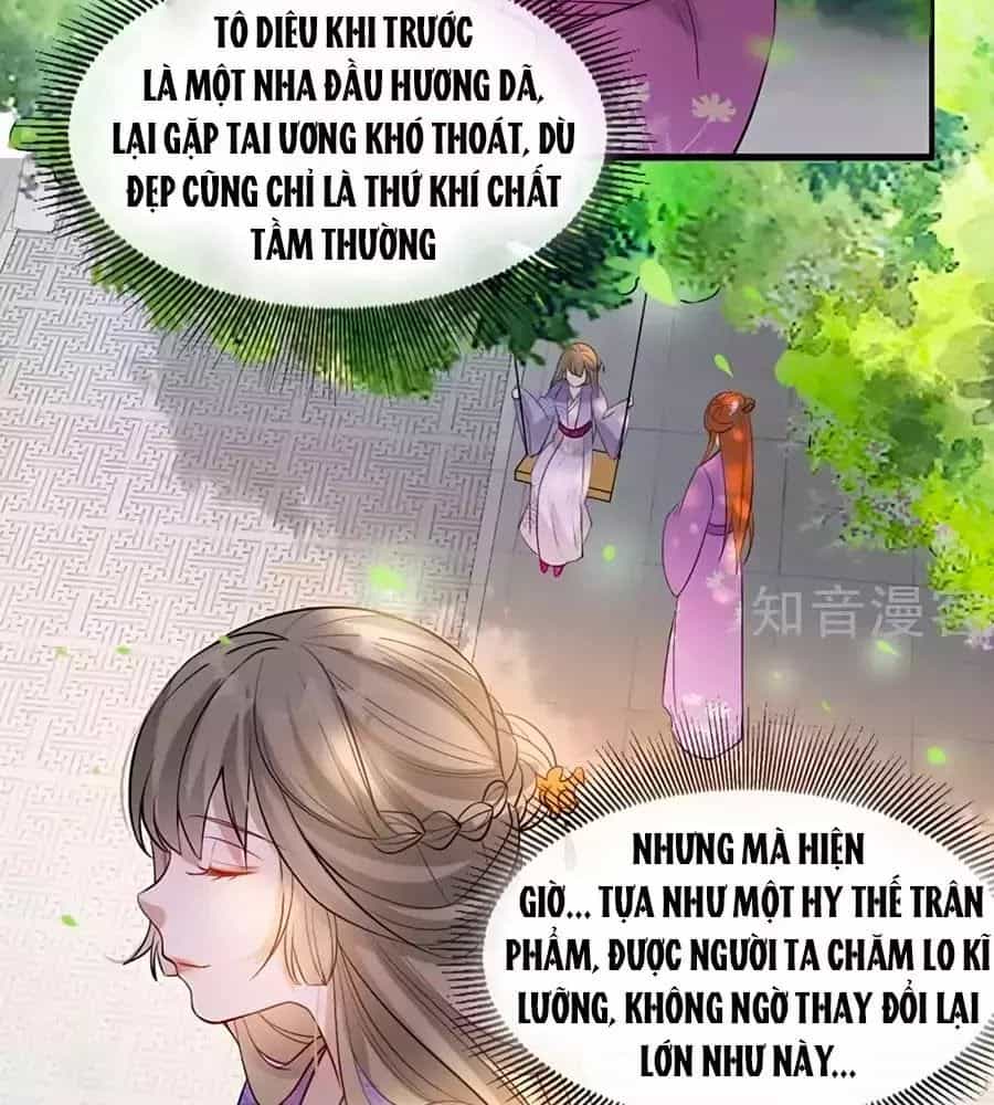 Gian Phi Như Thử Đa Kiều - Chương 51 - ảnh 25