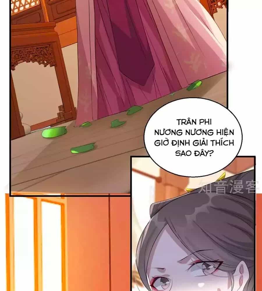 Gian Phi Như Thử Đa Kiều - Chương 59 - ảnh 2