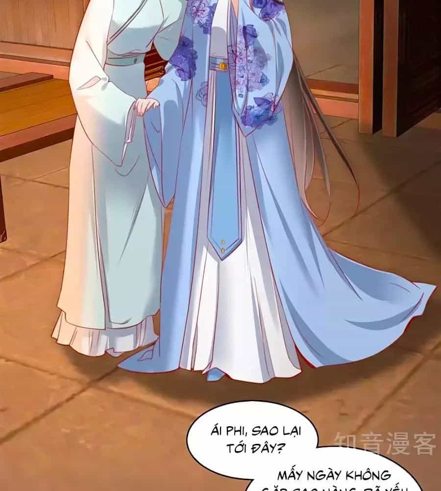 Gian Phi Như Thử Đa Kiều - Chương 62 - ảnh 10