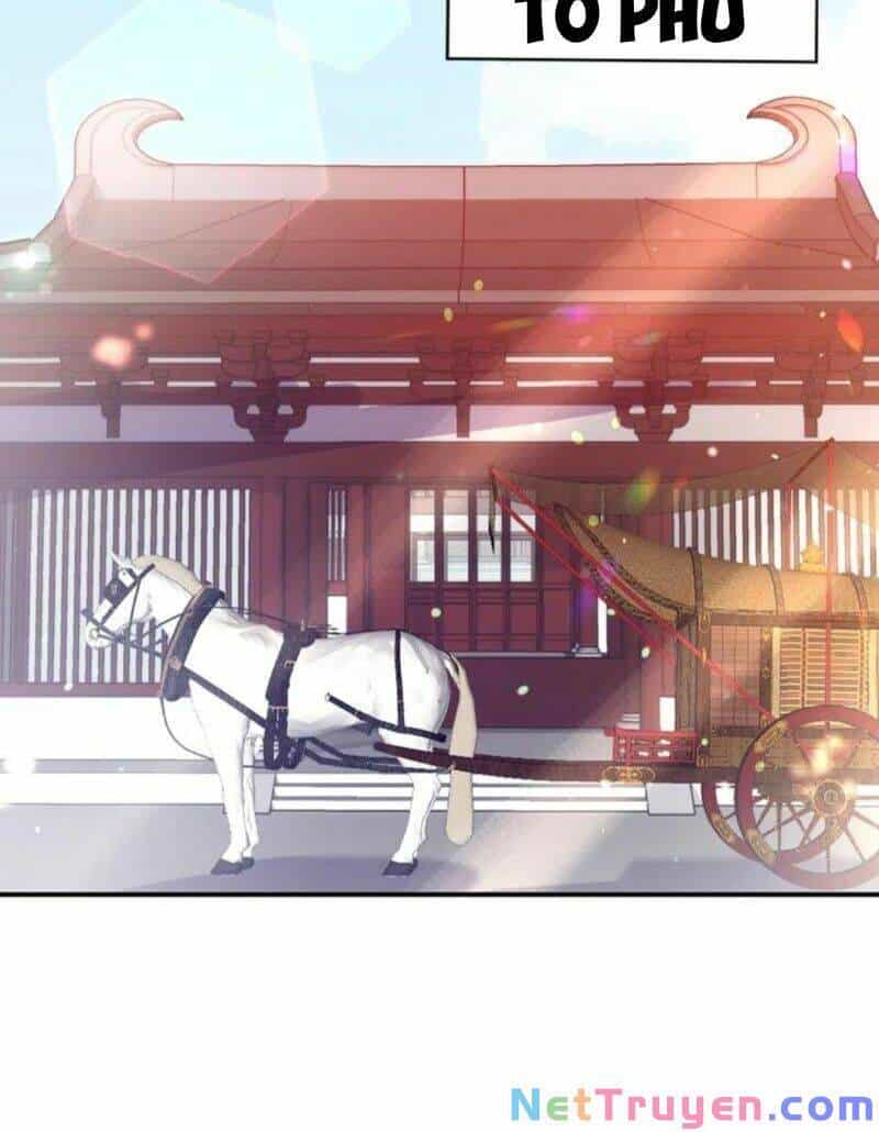 Giang Sơn Mỹ Nam Nhập Trướng Ta - Chương 59 - ảnh 17