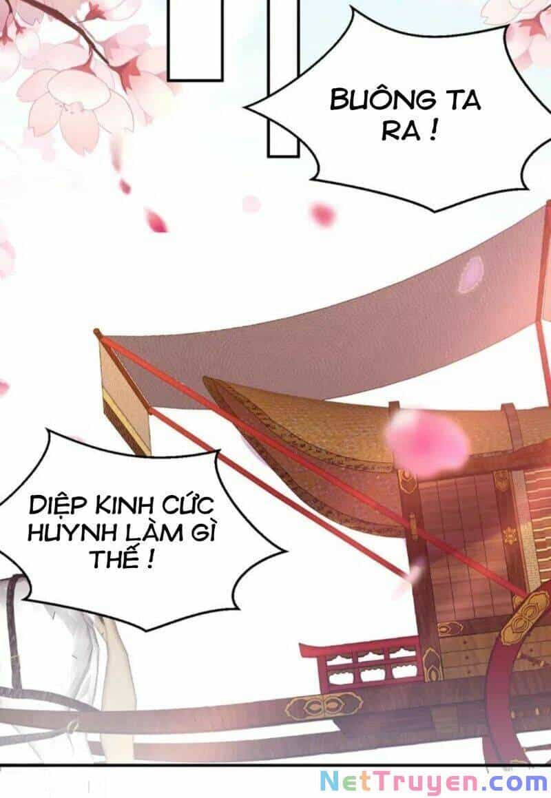 Giang Sơn Mỹ Nam Nhập Trướng Ta - Chương 59 - ảnh 3