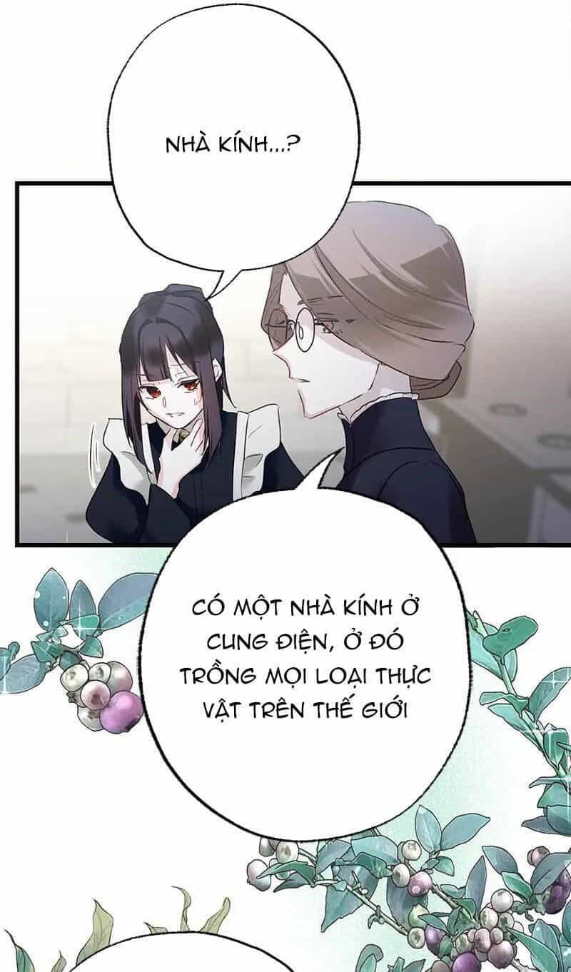 Giết Chết Niềm An Ủi Duy Nhất Của Ta - Chương 11.2 - ảnh 14