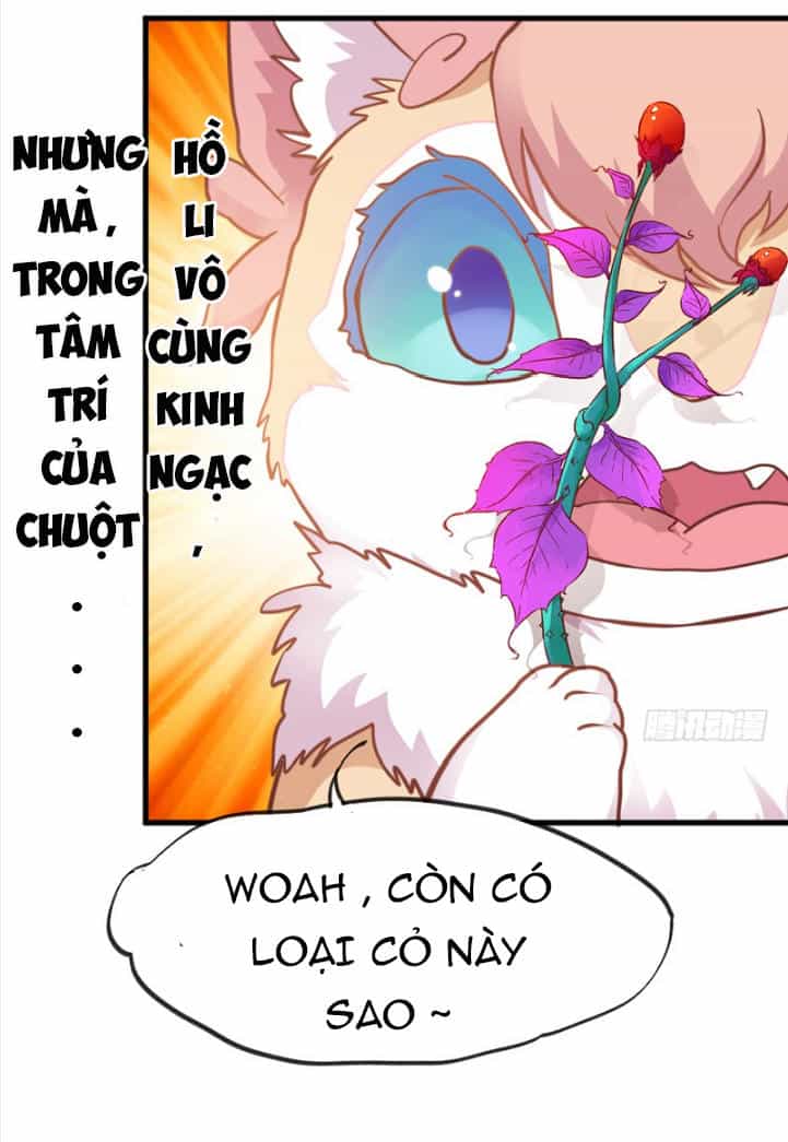 Giữ Chặt Tiểu Bạch Long - Chương 29 - ảnh 21