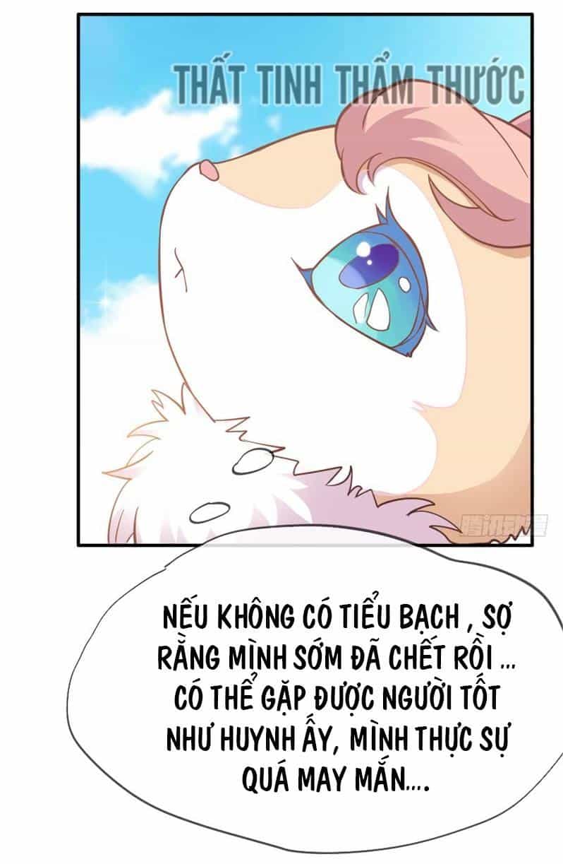 Giữ Chặt Tiểu Bạch Long - Chương 33 - ảnh 52