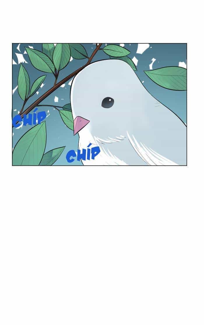 Good/Bad Fortune - Chương 1 - ảnh 65