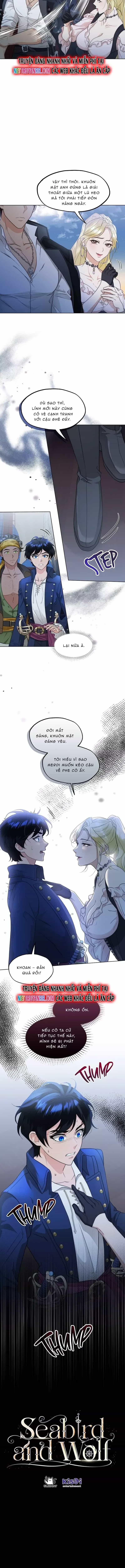 Hải Âu & Sói Hoang - Chương 34 - ảnh 12