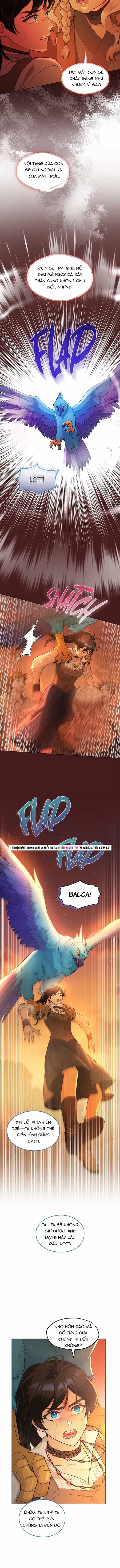Hải Âu & Sói Hoang - Chương 62 - ảnh 13