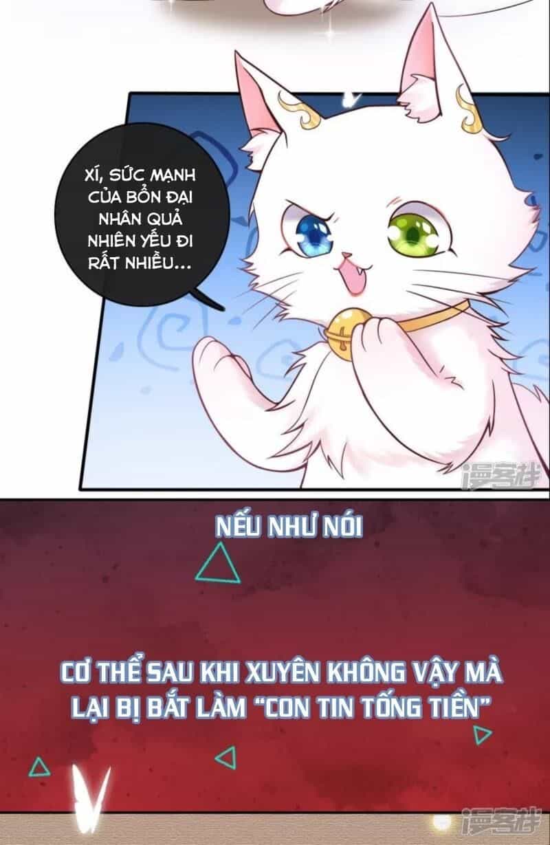 Hài Đế Vi Tôn - Chương 0 - ảnh 24