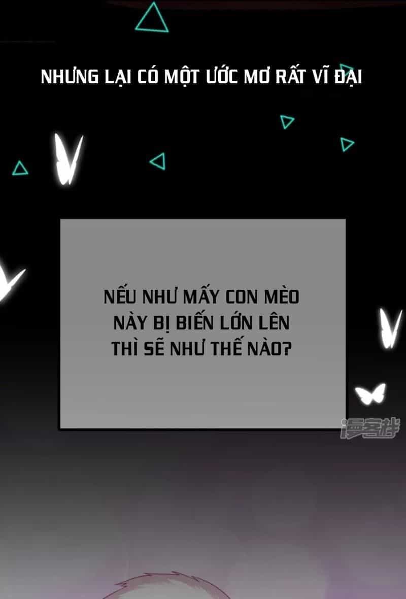 Hài Đế Vi Tôn - Chương 0 - ảnh 3