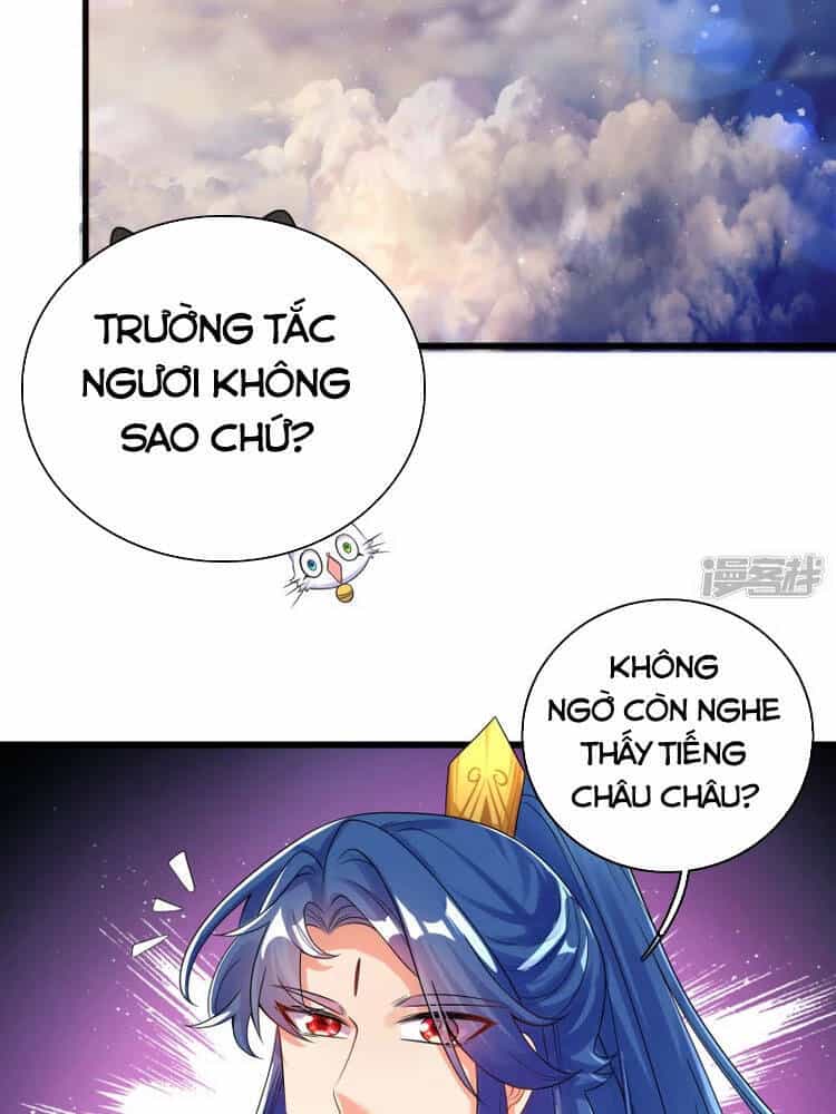 Hài Đế Vi Tôn - Chương 102 - ảnh 4
