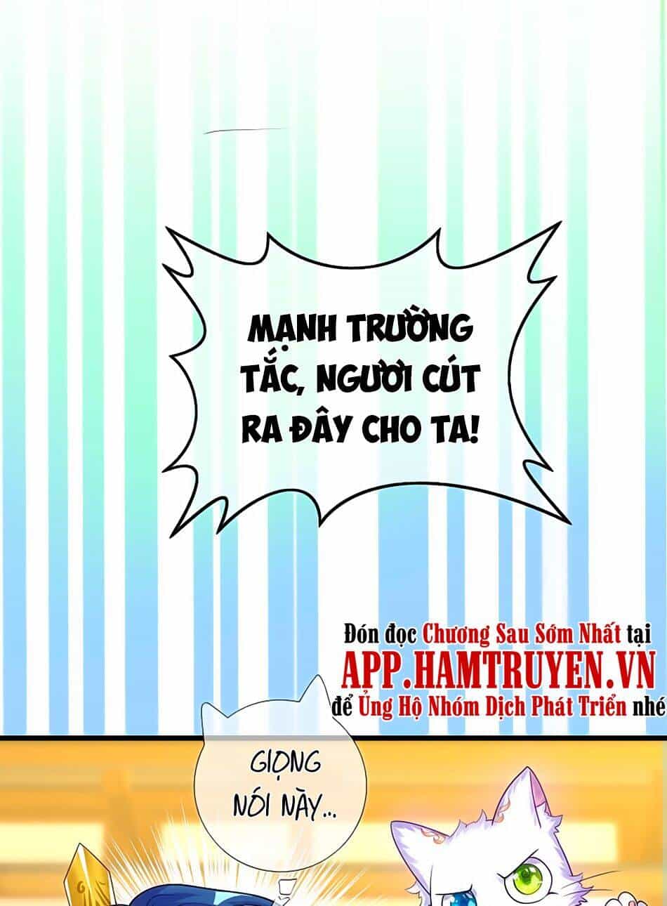Hài Đế Vi Tôn - Chương 69 - ảnh 22