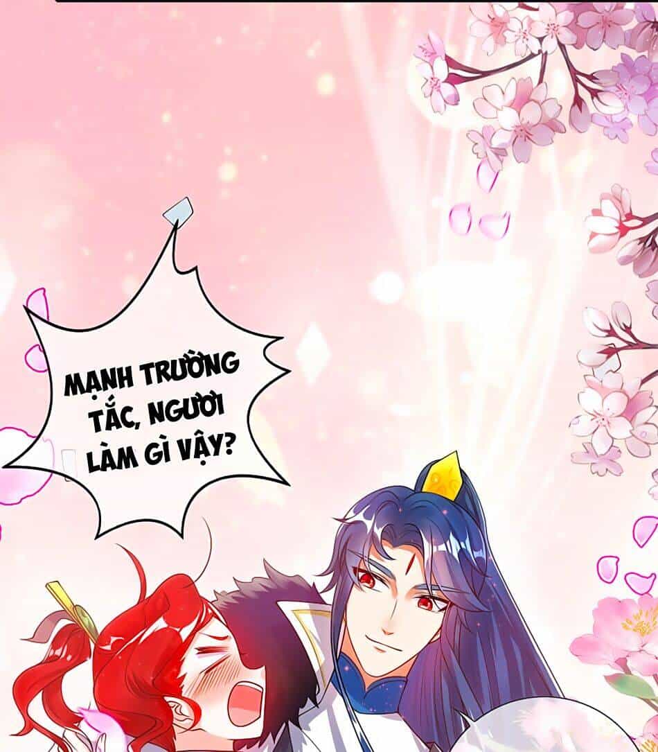 Hài Đế Vi Tôn - Chương 70 - ảnh 43