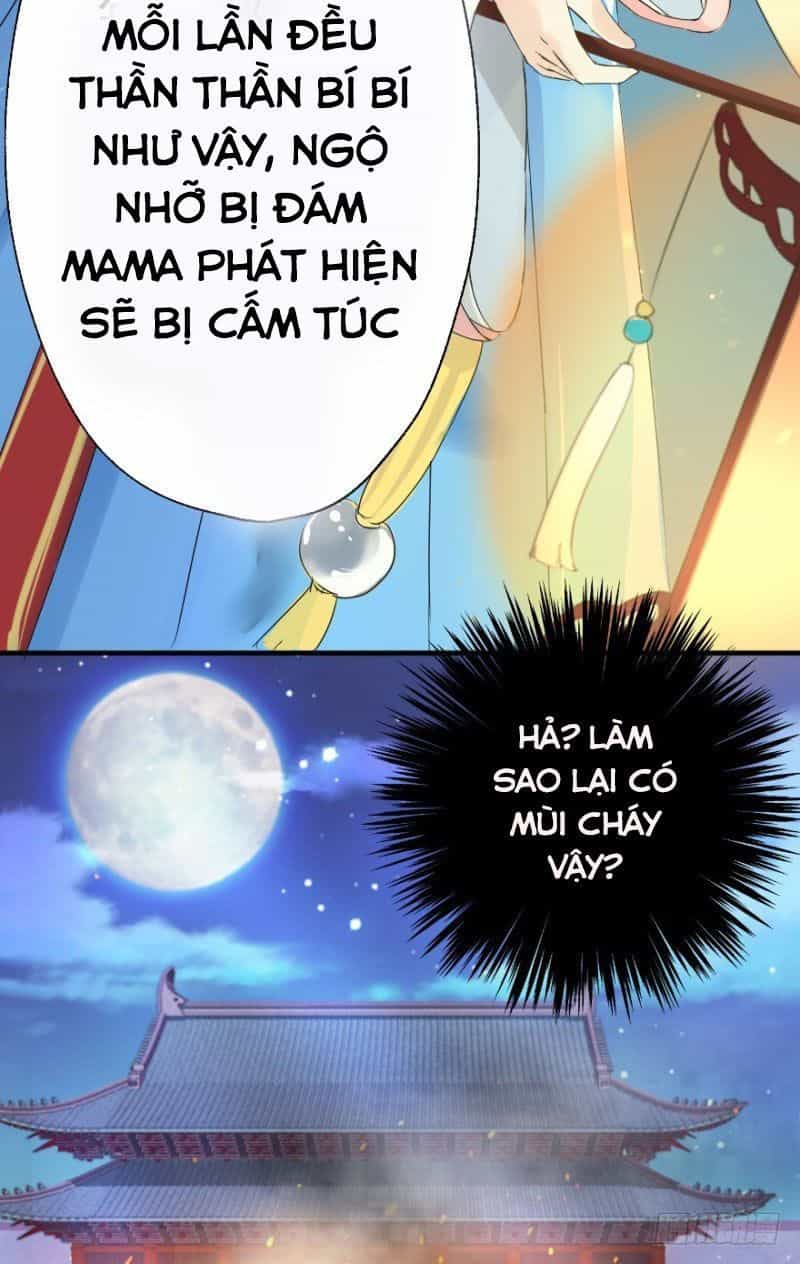 Hành Trình Sủng Đế Cơ - Chương 1 - ảnh 29