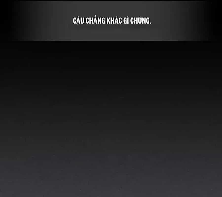Hấp Thụ Cấp Độ - Chương 116 - ảnh 33