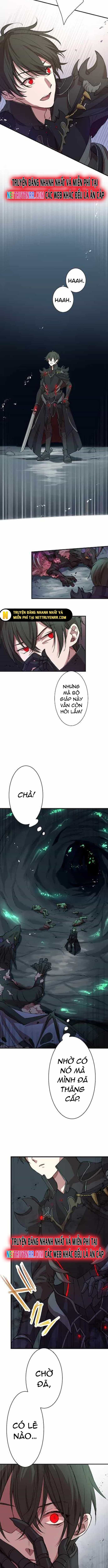 Hấp Thụ Cấp Độ - Chương 2 - ảnh 4