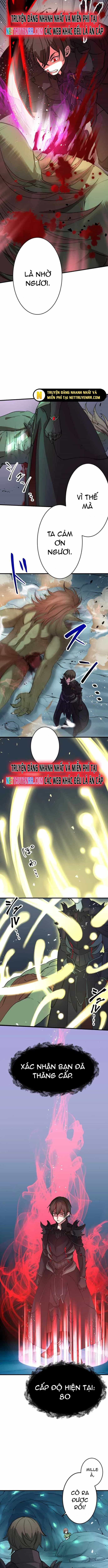 Hấp Thụ Cấp Độ - Chương 5 - ảnh 5