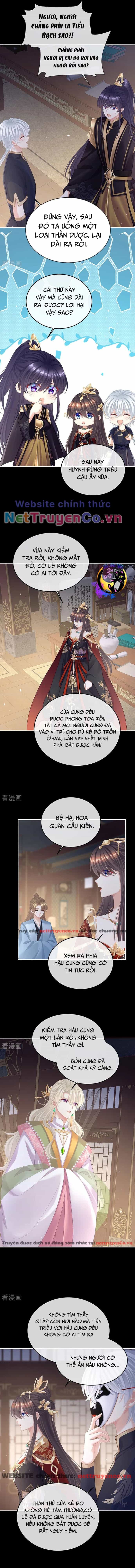 Hậu Cung Của Nữ Đế - Mùa 2 - Chương 41 - ảnh 2