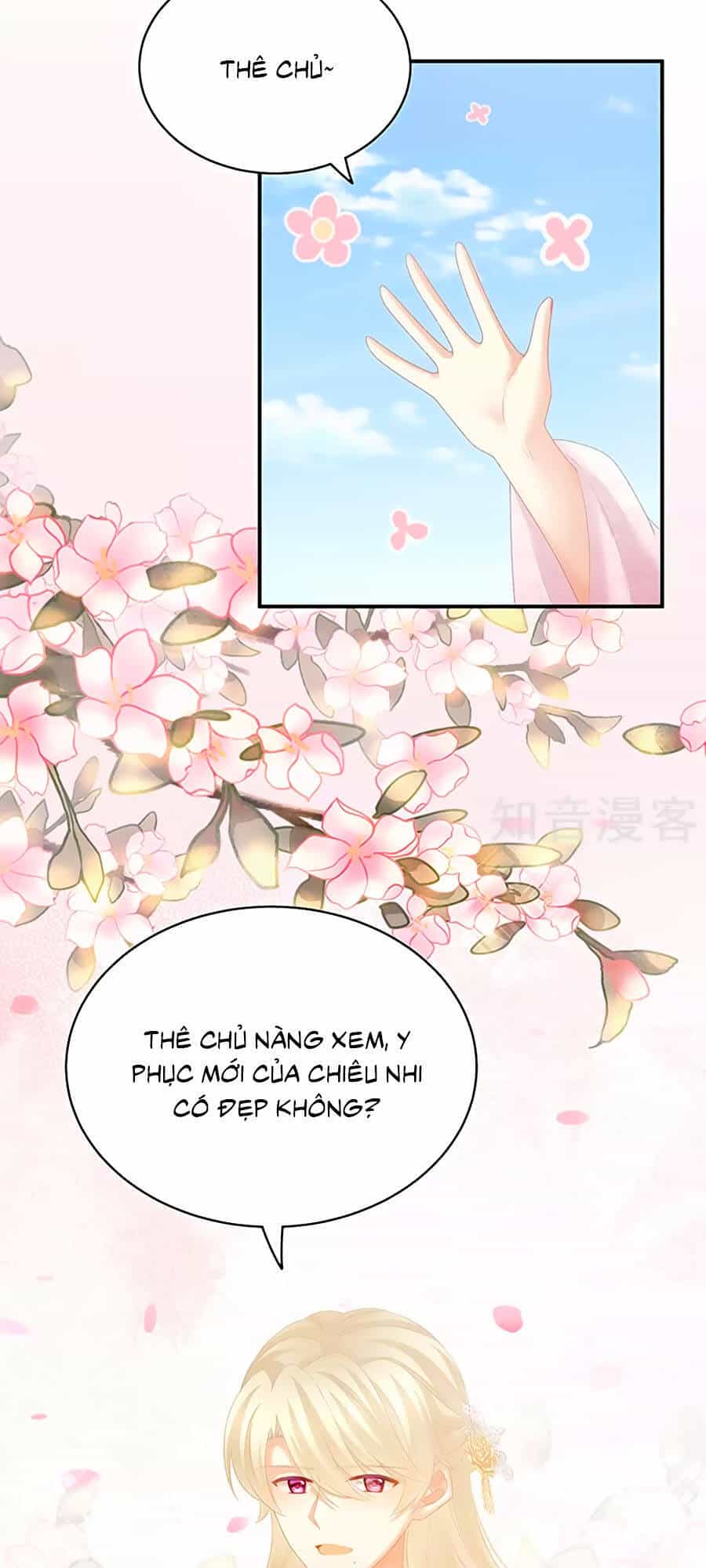 Hậu Cung Của Nữ Đế - Chương 220 - ảnh 15