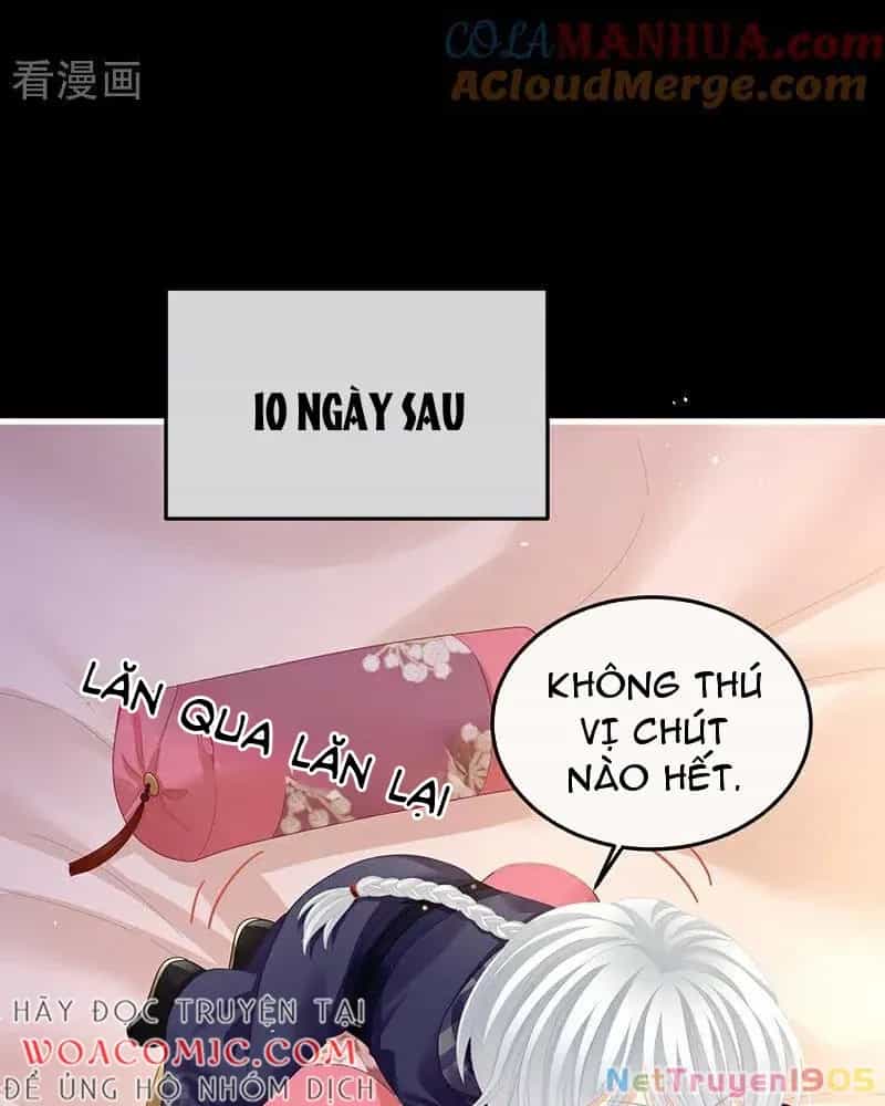 Hậu Cung Của Nữ Đế - Chương 401 - ảnh 23