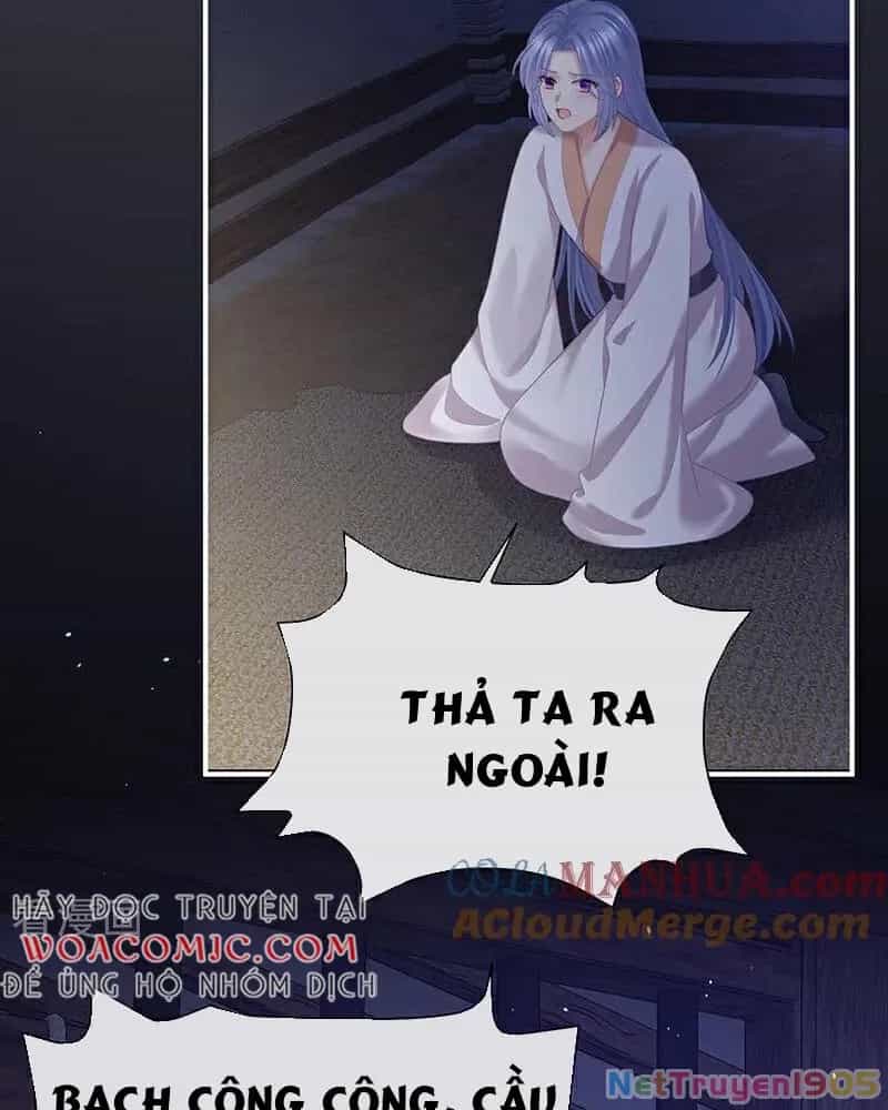 Hậu Cung Của Nữ Đế - Chương 415 - ảnh 13