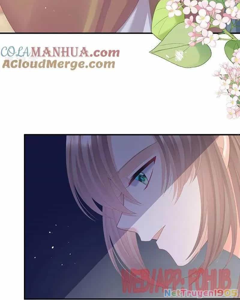 Hậu Cung Của Nữ Đế - Chương 427 - ảnh 52