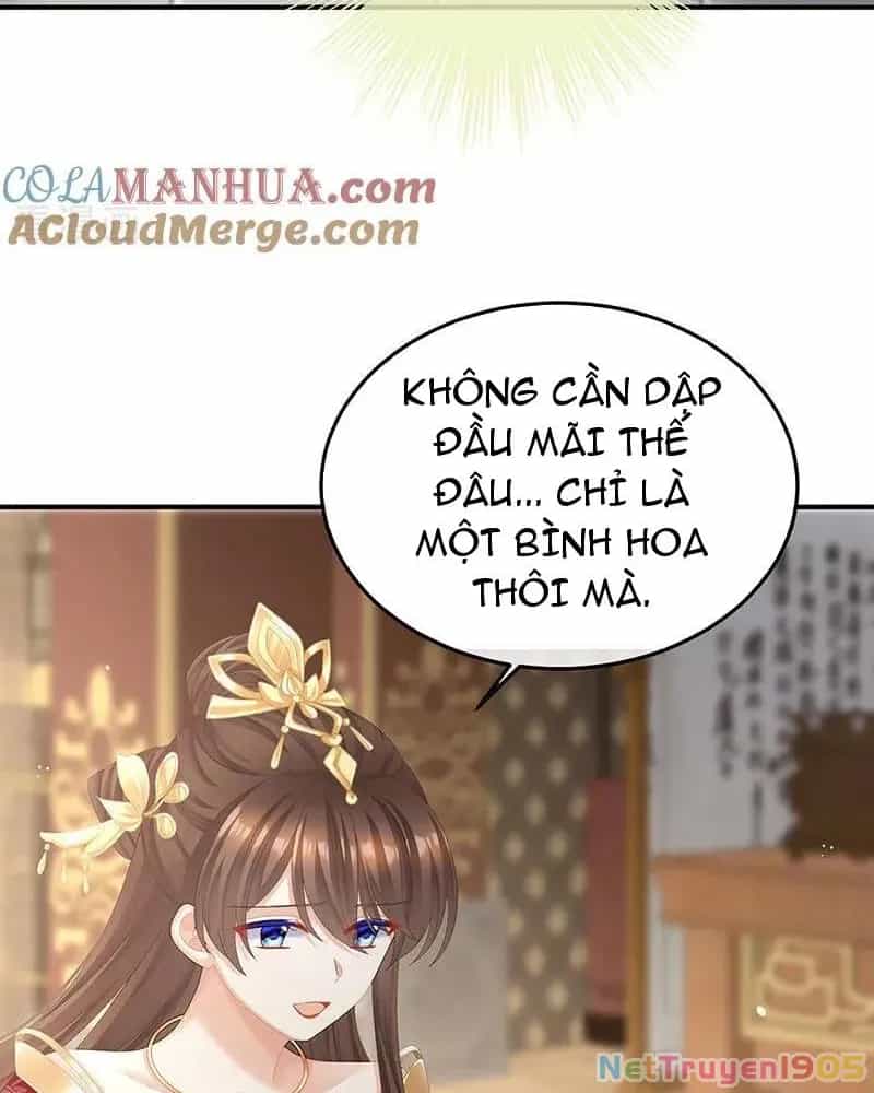 Hậu Cung Của Nữ Đế - Chương 429 - ảnh 11