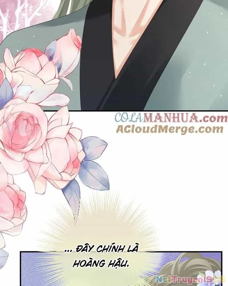 Hậu Cung Của Nữ Đế - Chương 439 - ảnh 8