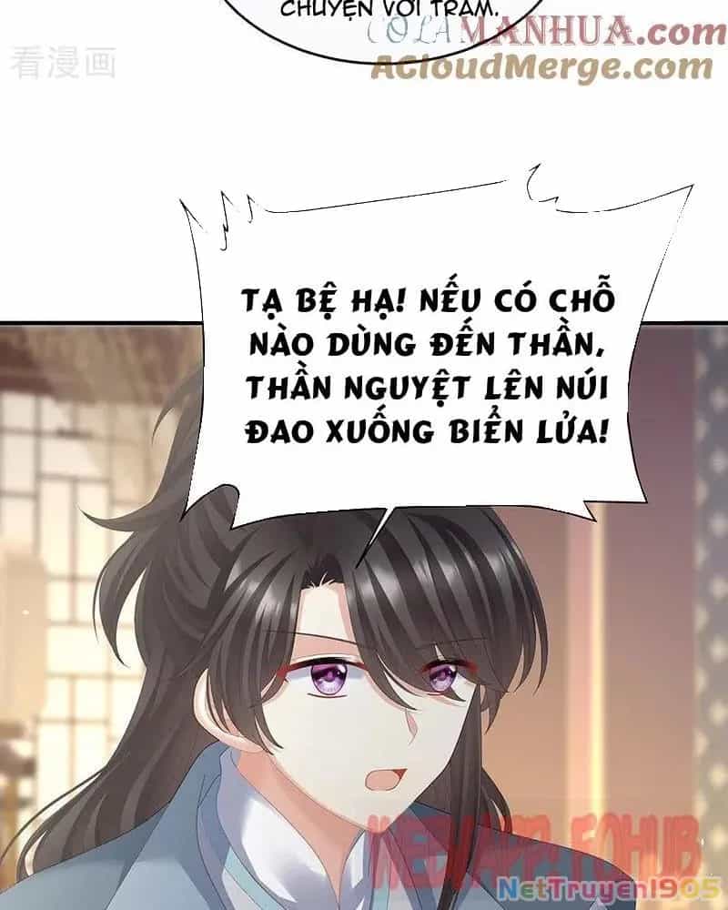 Hậu Cung Của Nữ Đế - Chương 441 - ảnh 25