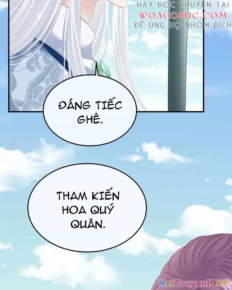 Hậu Cung Của Nữ Đế - Chương 443 - ảnh 27
