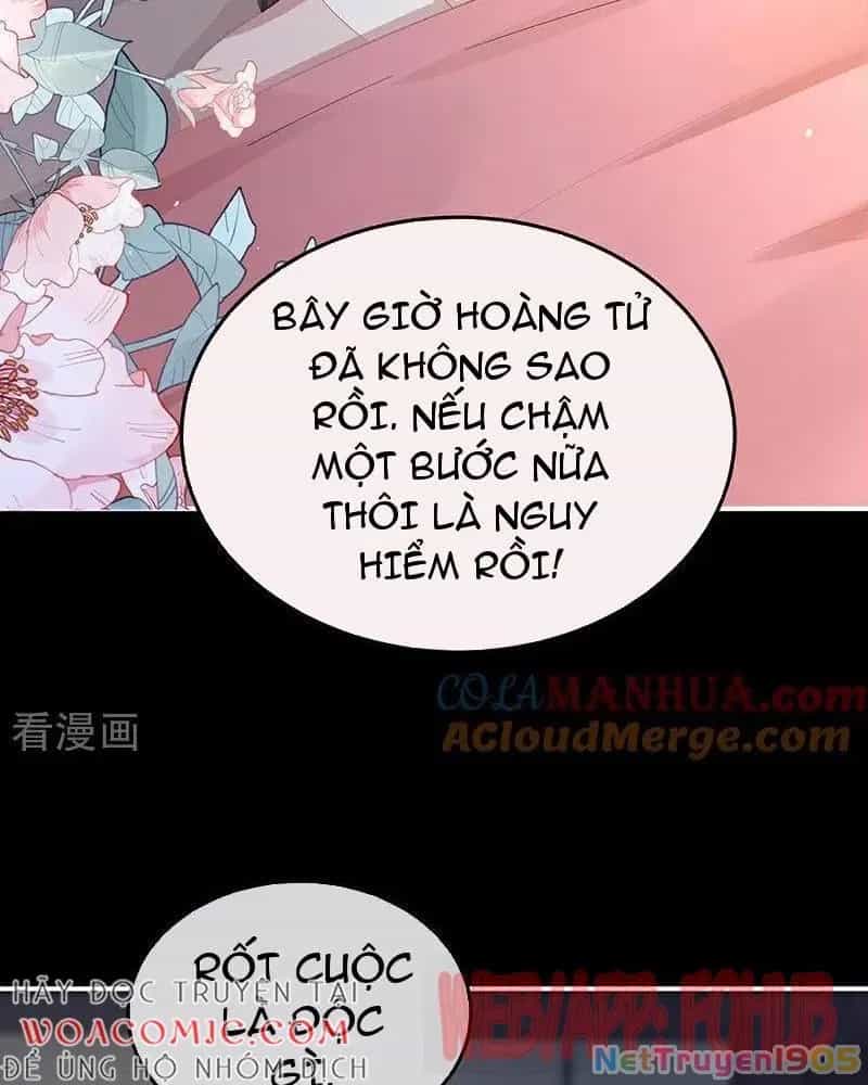 Hậu Cung Của Nữ Đế - Chương 446 - ảnh 7