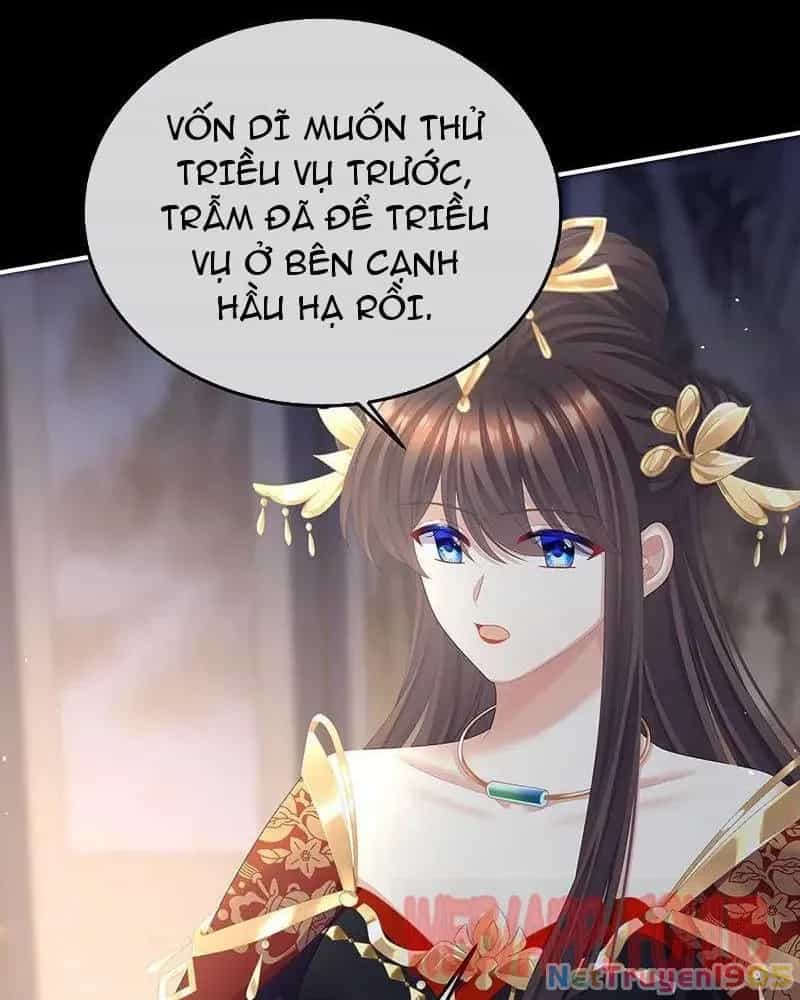 Hậu Cung Của Nữ Đế - Chương 453 - ảnh 10