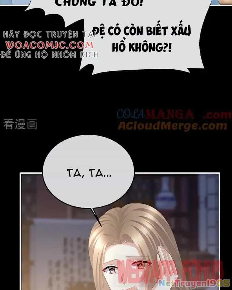 Hậu Cung Của Nữ Đế - Chương 453 - ảnh 16