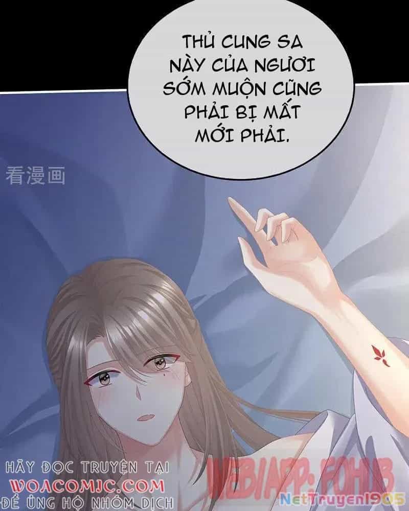 Hậu Cung Của Nữ Đế - Chương 458 - ảnh 31
