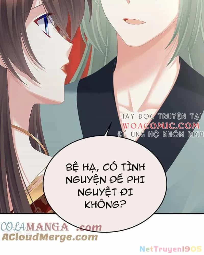 Hậu Cung Của Nữ Đế - Chương 476 - ảnh 56