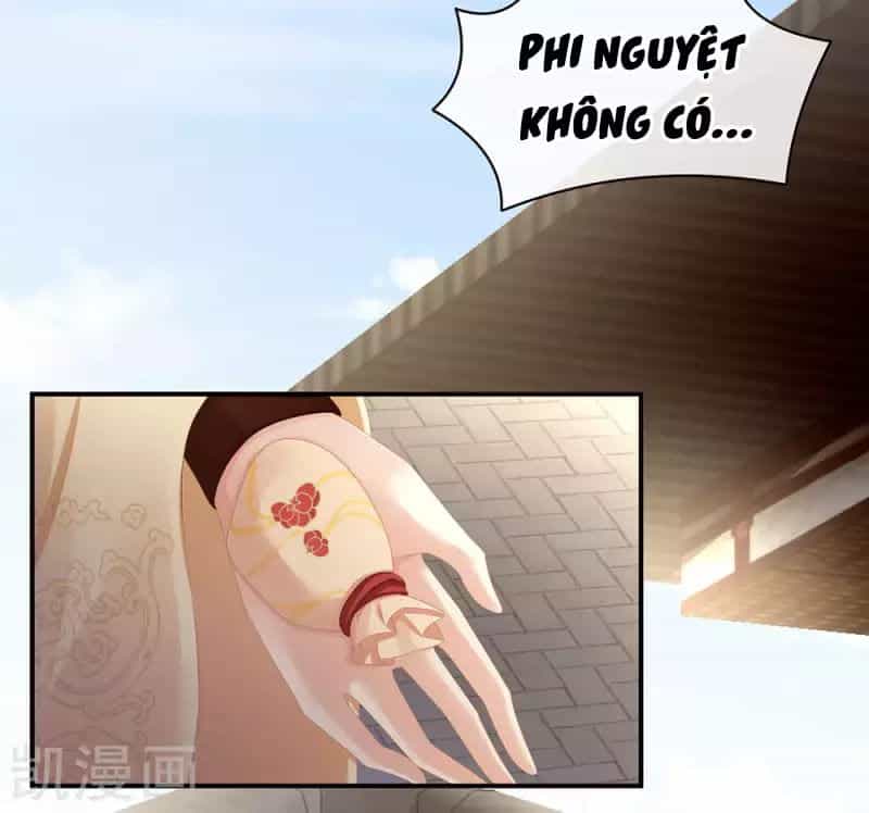 Hậu Cung Của Nữ Đế - Chương 74 - ảnh 27