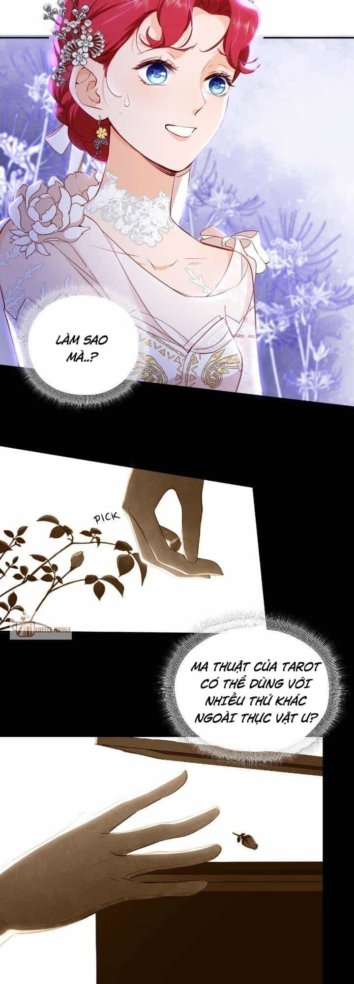 Hậu Duệ Tarot - Chương 5 - ảnh 23
