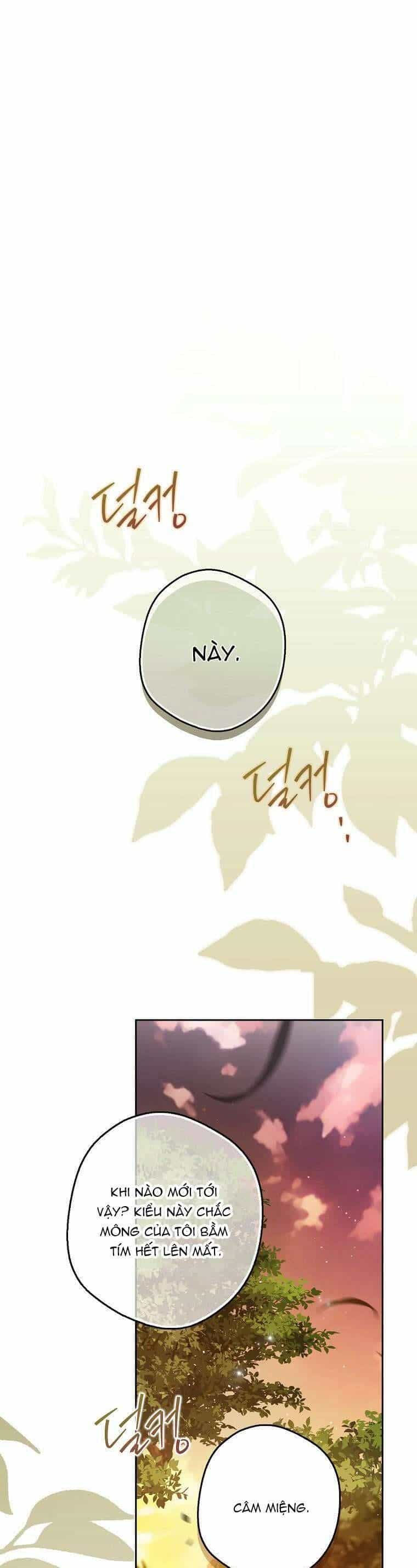 Hầu Tước Marron - Chương 1 - ảnh 19