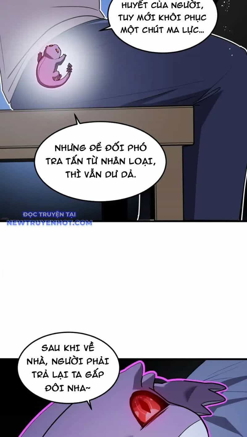 Hệ Thống Của Ta Thật Đứng Đắn - Chương 23 - ảnh 25