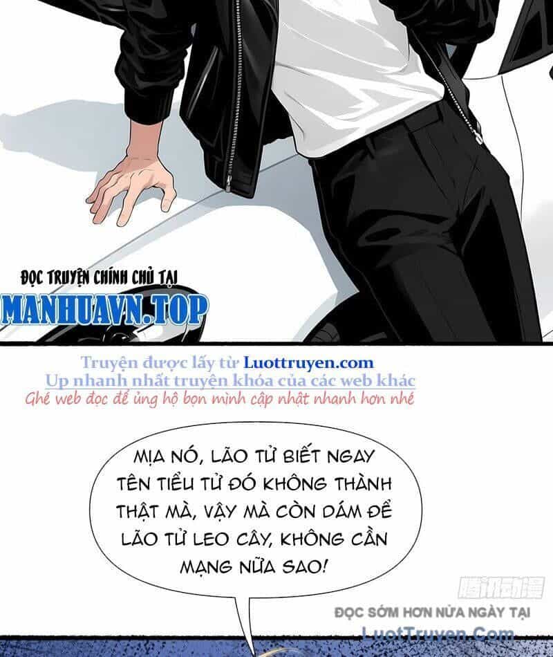 Hệ Thống Hoàn Tiền: Vô Hạn Tự Do Tài Chính - Chương 16 - ảnh 6