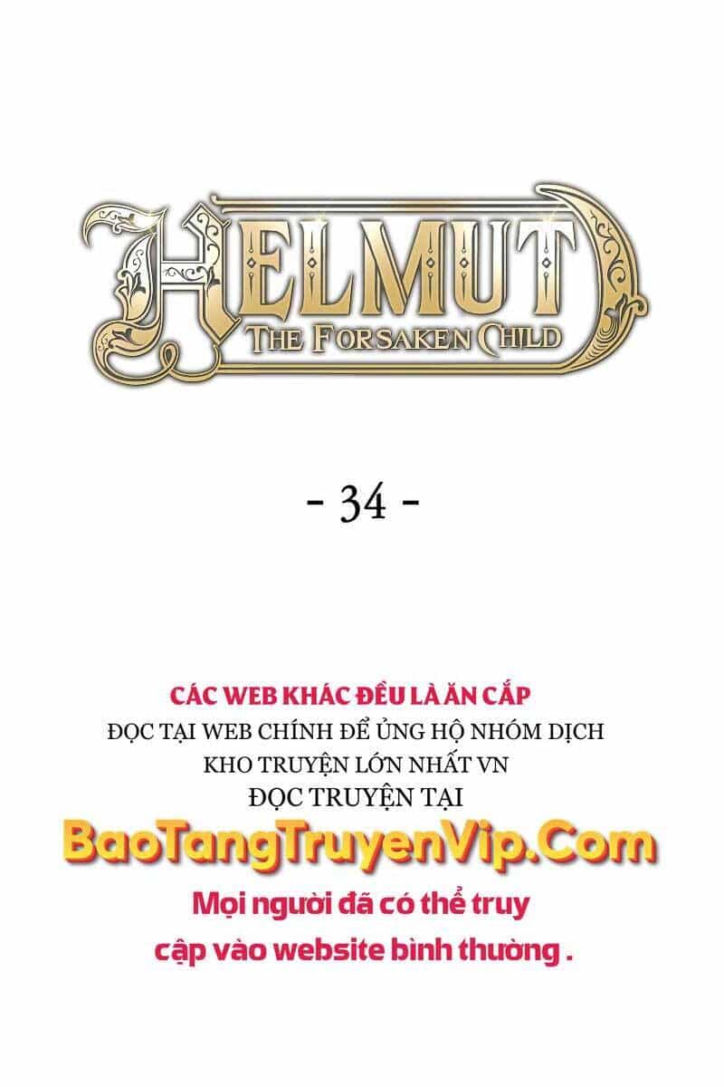 Helmut Đứa Trẻ Bị Ruồng Bỏ - Chương 34 - ảnh 33