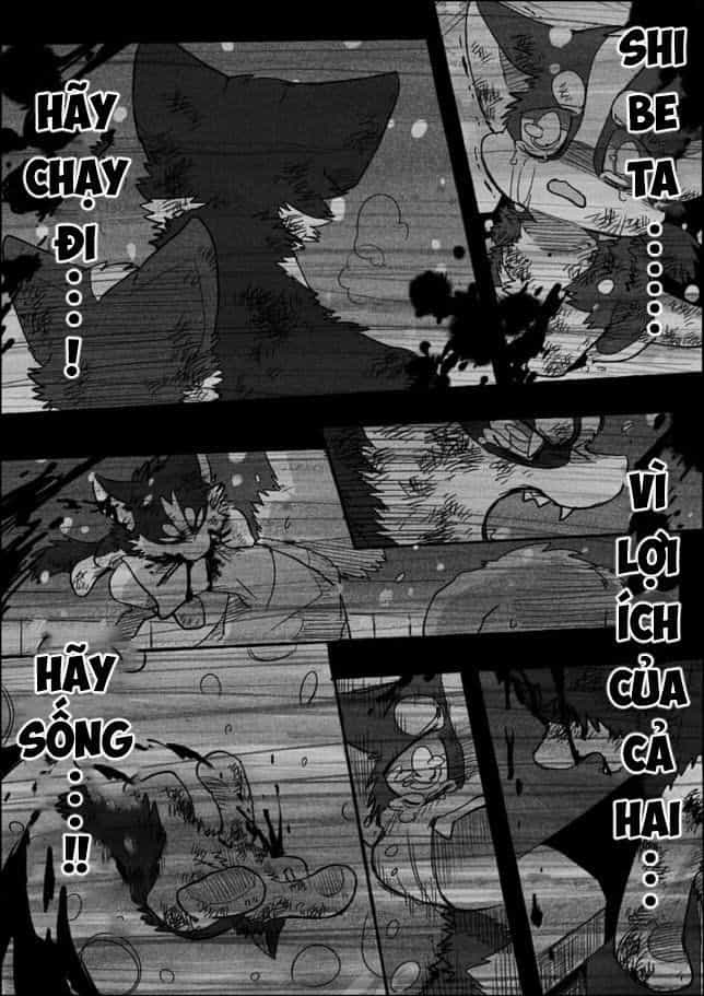 Helper Shibeta - Chương 4 - ảnh 24