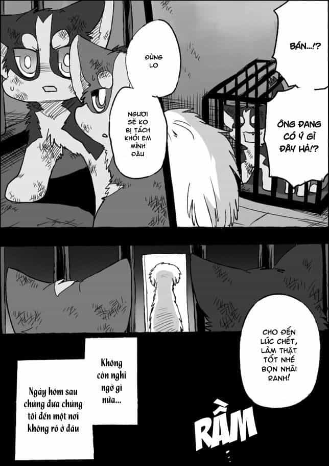 Helper Shibeta - Chương 5 - ảnh 20