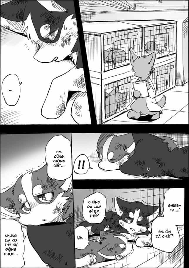 Helper Shibeta - Chương 5 - ảnh 23