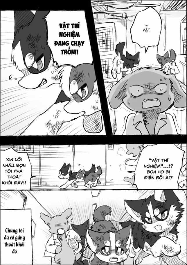 Helper Shibeta - Chương 5 - ảnh 27