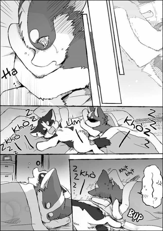 Helper Shibeta - Chương 5 - ảnh 47