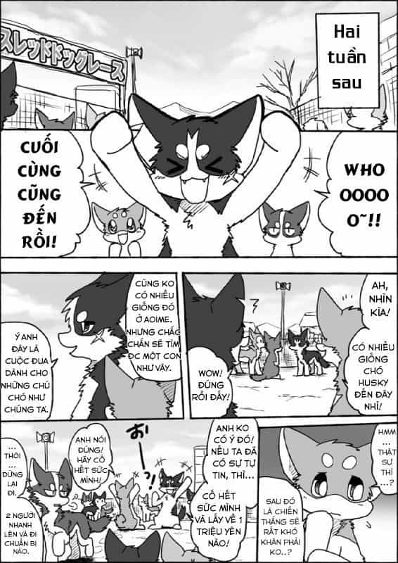 Helper Shibeta - Chương 7 - ảnh 5