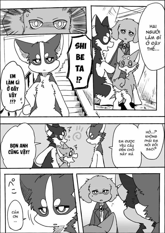 Helper Shibeta - Chương 8 - ảnh 29
