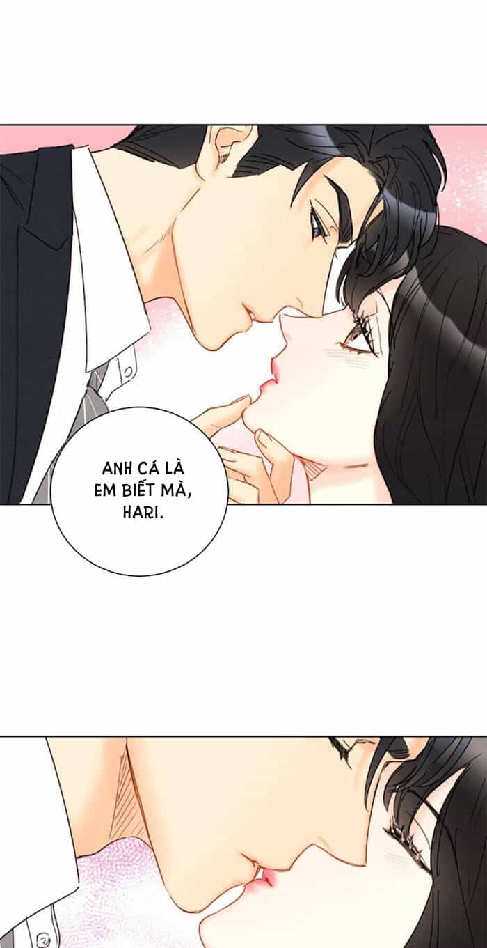 Hẹn Hò Nơi Công Sở - Chương 65 - ảnh 49